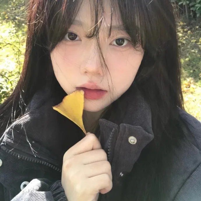 冒牌特工
